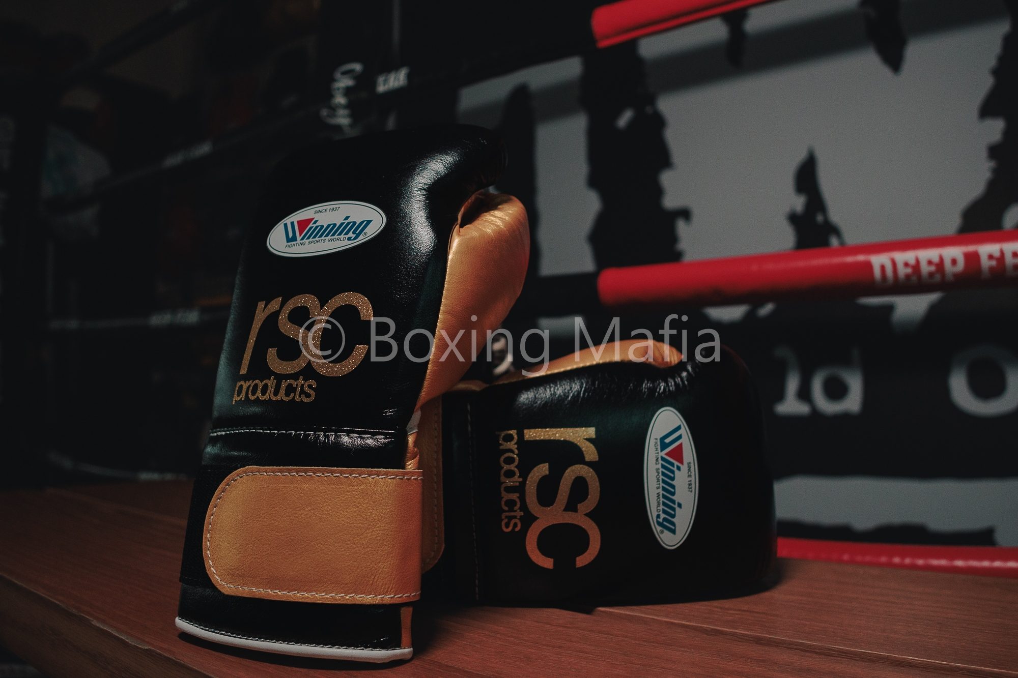 LINE_ALBUM_rsc_250102_2