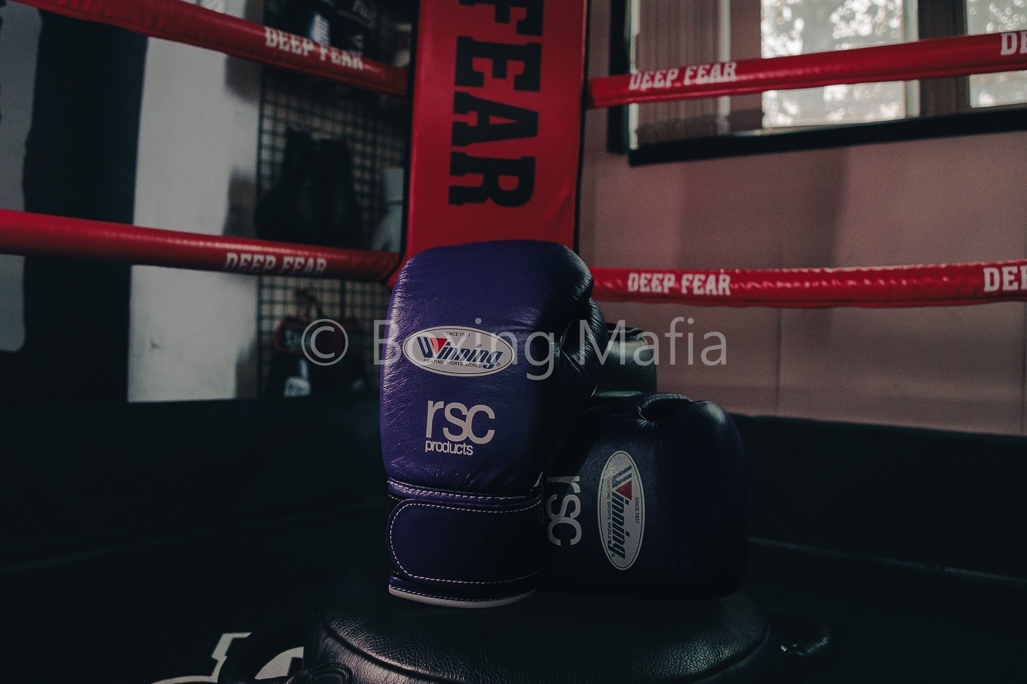 LINE_ALBUM_rsc_250102_3