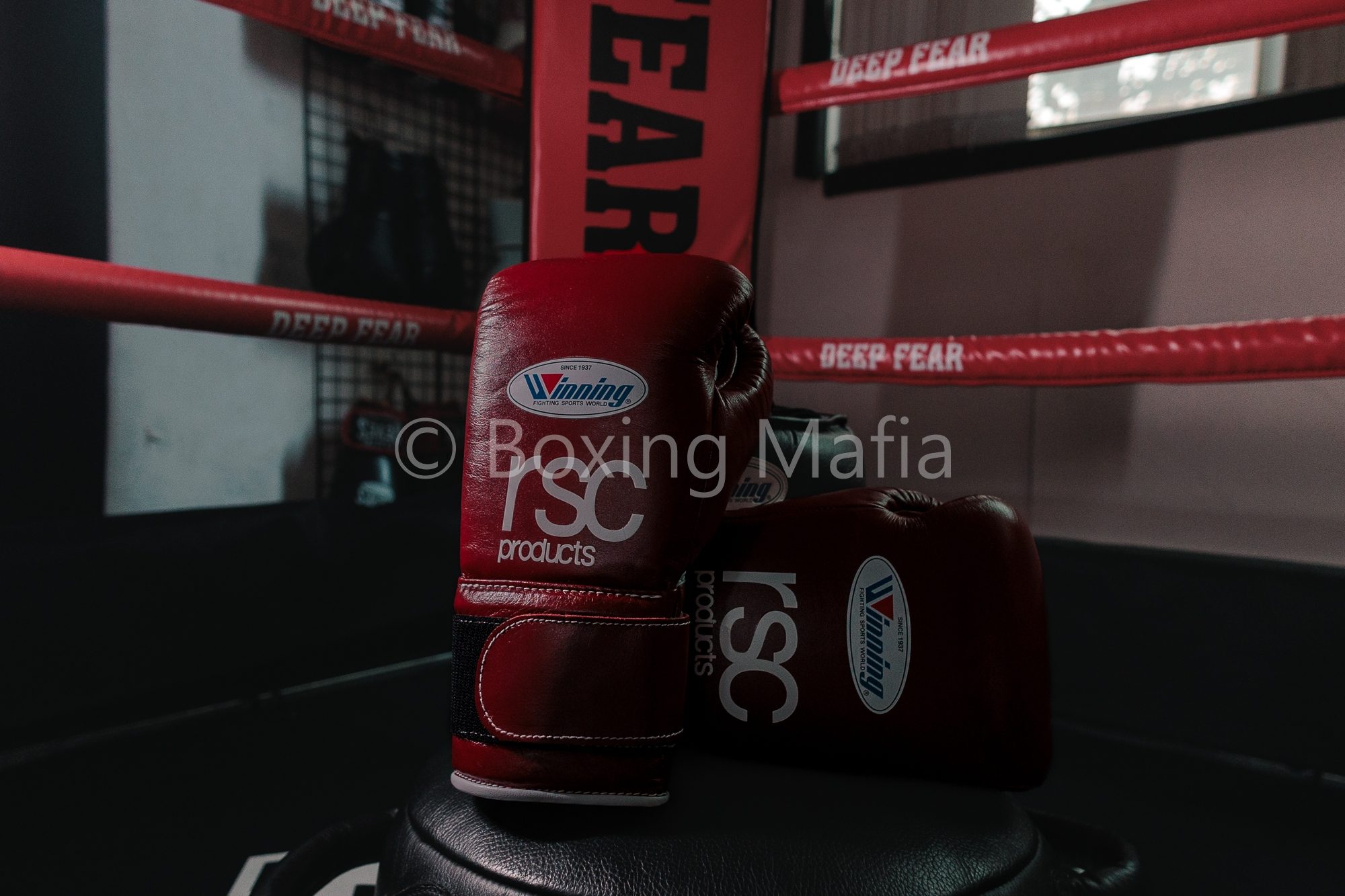 LINE_ALBUM_rsc_250102_5