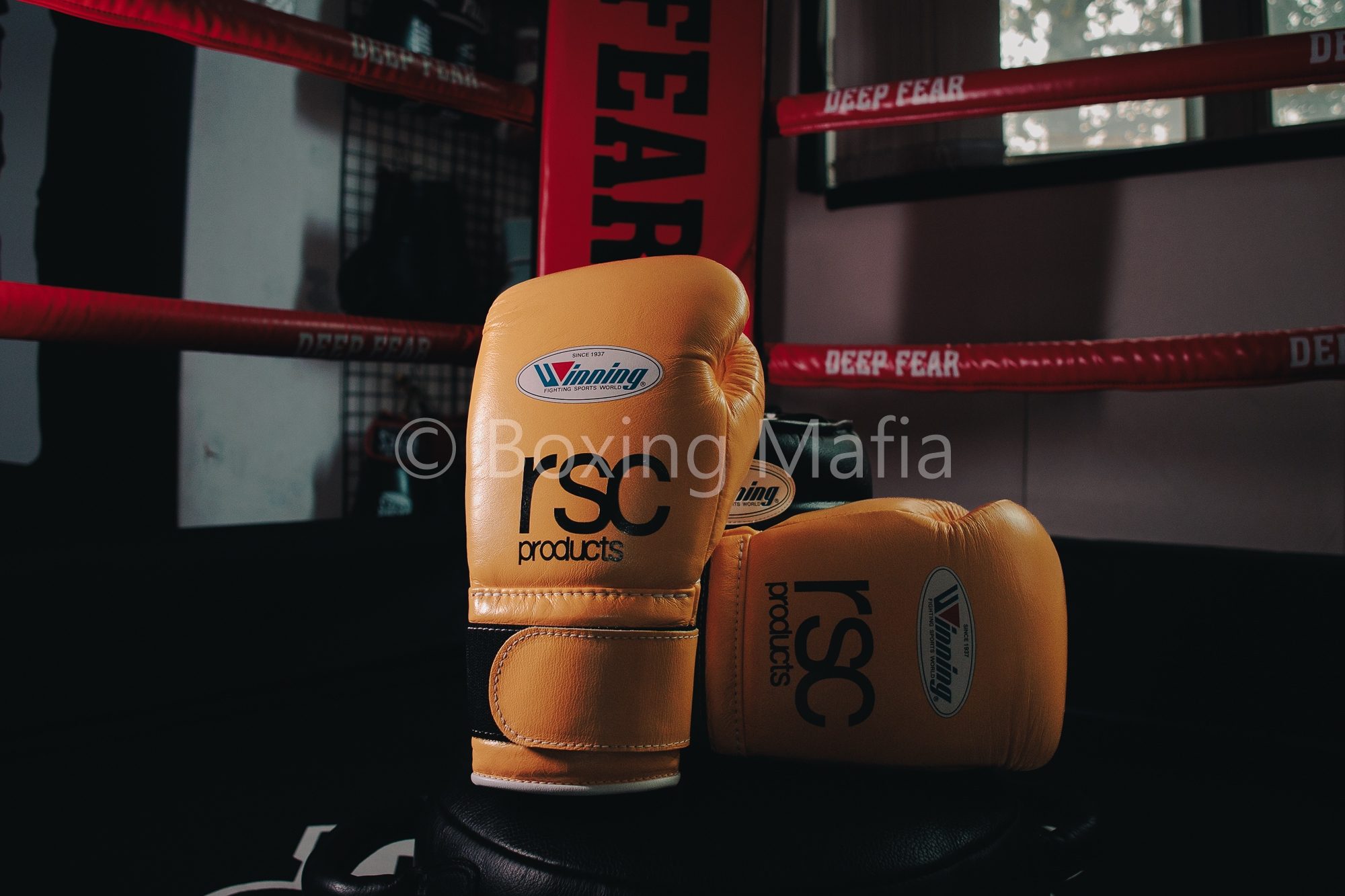 LINE_ALBUM_rsc_250102_8