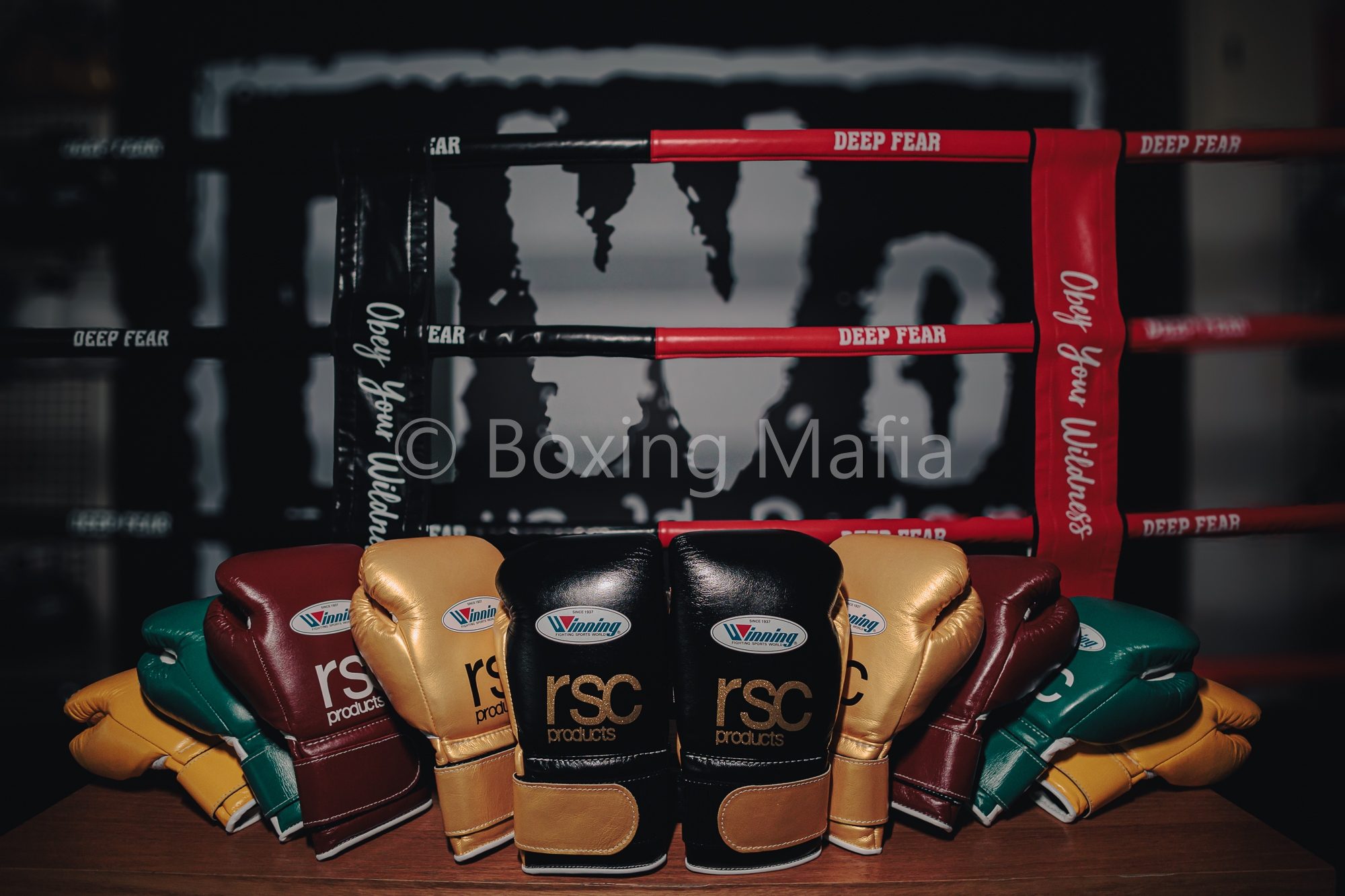 rsc products | RSC x Winning 聯名 14oz Velcro Type Boxing Glove 魔鬼氈 拳擊 拳套