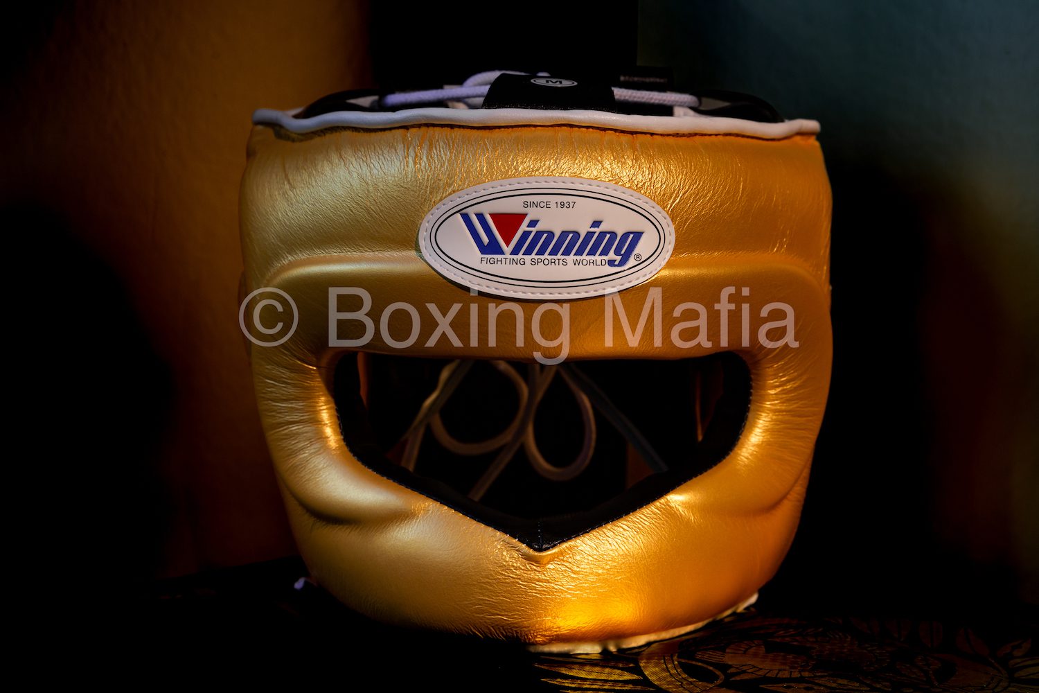 [預購]Winning 客製化頭盔 Headguard 自選色